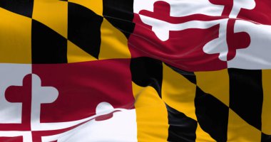 Açık bir günde Maryland eyalet bayrağının yakın çekimi. Calvert ve Crossland ailelerinin renklerine sahip dört daire. 3D illüstrasyon canlandırıcı. Çırpınan kumaş
