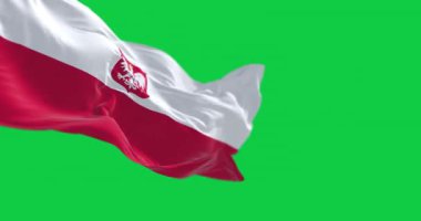 Polonya ulusal bayrağının rüzgarda dalgalanan yakın çekimi yeşil arka planda izole edildi. Kusursuz 3D canlandırma animasyonu. Krom anahtar. Yavaş çekim döngüsü. Yeşil ekran. 4 bin. Seçici odak
