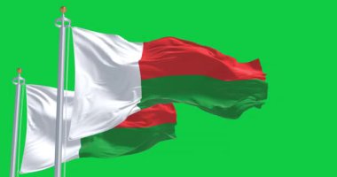 Madagaskar 'ın ulusal bayrakları yeşil arka planda izole edildi. Kusursuz 3D canlandırma animasyonu. Krom anahtar. Yavaş çekim döngüsü. Yeşil ekran. 4 bin. Seçici odak