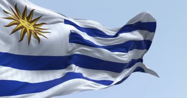 Güneşli bir günde rüzgarda dalgalanan Uruguay ulusal bayrağının yakın çekimi. Alternatif beyaz ve mavi yatay çizgiler, beyaz karede Sol de Mayo. Kusursuz 3 boyutlu animasyon. Yavaş çekim döngüsü