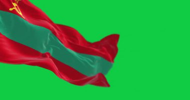 Transnistria ulusal bayrağının yeşil arka planda yalıtılmış rüzgarda dalgalanan yakın çekimi. Kusursuz 3D canlandırma animasyonu. Krom anahtar. Yavaş çekim döngüsü. Yeşil ekran. Sinema 4K. Seçici odak