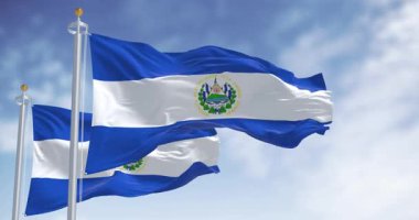 Açık bir günde El Salvador 'un ulusal bayrakları dalgalanıyor. Mavi, beyaz ve mavi yatay çizgiler, ortada ulusal arma. Kusursuz 3 boyutlu animasyon. Yavaş çekim döngüsü. Seçici odak