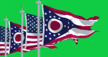 Ohio eyalet bayrağı rüzgarda dalgalanırken ABD bayrağı yeşil arka planda izole edildi. Kusursuz 3D canlandırma animasyonu. Krom anahtar. Yavaş çekim döngüsü. Yeşil ekran. Sinema 4K. Seçici odak