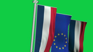 Fransa ve Avrupa Birliği dikey bayrakları yeşil arka planda izole edildi. Kusursuz 3D canlandırma animasyonu. Krom anahtar. Yavaş çekim döngüsü. Yeşil ekran. Sinema 4K. Seçici odak