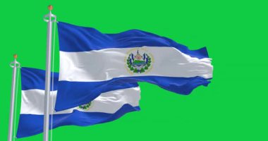 El Salvador 'un ulusal bayrakları yeşil arka planda izole halde sallanıyor. Kusursuz 3D canlandırma animasyonu. Krom anahtar. Yavaş çekim döngüsü. Yeşil ekran. Sinema 4K. Seçici odak