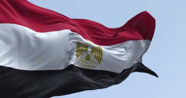 Açık bir günde Mısır ulusal bayrağının yakın çekimi. Yatay kırmızı, beyaz ve siyah şeritler. Beyaz bant merkezli Mısır kartalı amblemi. Kusursuz 3 boyutlu animasyon. Yavaş çekim döngüsü