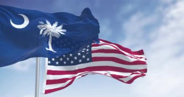 Güney Carolina bayrağı ABD bayrağıyla dalgalanıyor. Beyaz palmetto ağacı ve hilal olan mavi tarla. Dalgalı kumaş. Kusursuz 3 boyutlu animasyon. Yavaş çekim döngüsü. Seçici odaklanma. Sinema 4k