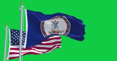 Virginia ve ABD bayrakları rüzgarda dalgalanıyor yeşil arka planda izole edilmiş. Kusursuz 3D canlandırma animasyonu. Krom anahtar. Yavaş çekim döngüsü. Yeşil ekran. 4 bin. Seçici odak
