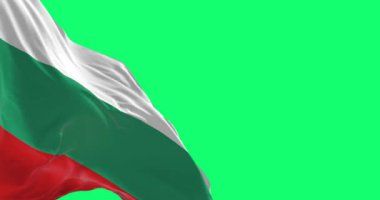 Bulgaristan ulusal bayrağının rüzgarda dalgalanan yakın çekimi yeşil arka planda izole edildi. Kusursuz 3D canlandırma animasyonu. Krom anahtar. Yavaş çekim döngüsü. Yeşil ekran. 4 bin. Seçici odak