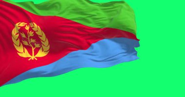 Eritre ulusal bayrağı yeşil arka planda izole edilmiş olarak dalgalanıyor. Kusursuz 3D canlandırma animasyonu. Krom anahtar. Yavaş çekim döngüsü. Yeşil ekran. 4 bin. Seçici odak