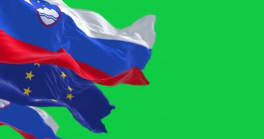 Slovenya ve Avrupa Birliği bayrakları yeşil arka planda tek başlarına dalgalanmaktalar. Kusursuz 3D canlandırma animasyonu. Krom anahtar. Yavaş çekim döngüsü. Yeşil ekran. 4 bin. Seçici odak