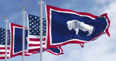 Wyoming ve Amerikan bayrakları mavi gökyüzünün altında bizon amblemiyle dalgalanıyor. Vatanseverlik, devlet kimliği, gurur ve birlik kavramı. Yavaş çekim döngüsü