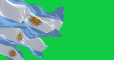 Yeşil arka planda izole edilmiş Arjantin bayrakları sallanıyor. Kusursuz 3D canlandırma animasyonu. Krom anahtar. Yavaş çekim döngüsü. Yeşil ekran. 4 bin. Seçici odak