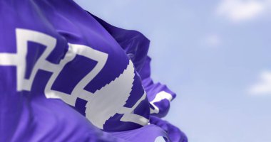 Iroquois bayrağının yakın çekimi. Dört bağlı beyaz kareli mor bayrak ve ortada bir doğu beyaz çam ağacı. 3D illüstrasyon canlandırıcı. Dalgalı kumaş. Seçici odak