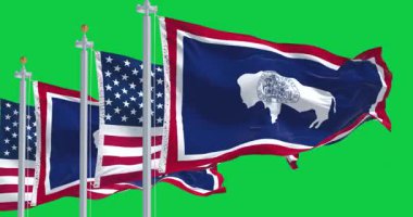 Yeşil arka planda izole edilmiş Wyoming ve Amerikan bayrakları sallanıyor. Kusursuz 3D canlandırma animasyonu. Krom anahtar. Yavaş çekim döngüsü. Yeşil ekran. 4 bin. Seçici odak
