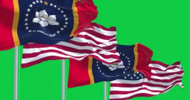 Mississippi eyaleti bayrakları yeşil arka planda izole edilmiş Amerikan bayrağıyla dalgalanıyor. Kusursuz 3D canlandırma animasyonu. Krom anahtar. Yavaş çekim döngüsü. Yeşil ekran. 4 bin. Seçici odak