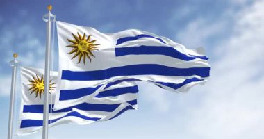 Rüzgarda dalgalanan Uruguay bayrağı, Mayıs Güneşi, ulusal renkler ve vatansever sembolizmi içeriyor. Kusursuz 3 boyutlu animasyon. Yavaş çekim döngüsü.
