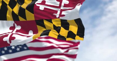 Maryland eyalet bayrağı ve rüzgarda dalgalanan Amerikan bayrağı, açık bir günde gururu, mirası ve vatansever kimliğini gösteriyor. Kusursuz 3 boyutlu animasyon. Yavaş çekim döngüsü. Seçici odak