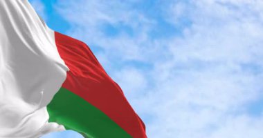 Madagaskar 'ın ulusal bayrağı rüzgarda dalgalanıyor, parlak gökyüzü altında gurur, bağımsızlık ve Afrika kimliğini simgeliyor. Kusursuz 3 boyutlu animasyon. Yavaş çekim döngüsü. Seçici odak