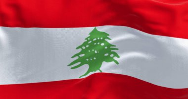 Lübnan bayrağının sedir ağacı sembolü ile gerçekçi yakın çekimi, mavi gökyüzüne karşı rüzgarda dalgalanan, gurur, birlik, vatanseverlik ve Batı Asya 'nın ulusal kimliğini temsil eden