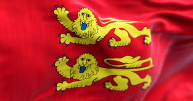 Normandiya bayrağının rüzgarda dalgalanan yakın çekimi. Normandiya, Fransa 'nın kuzeyinde bir bölge. 3D illüstrasyon canlandırıcı. Dalgalı tekstil. Seçici odak