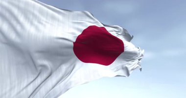 Açık bir günde Japonya ulusal bayrağı rüzgarda sallanıyor. Beyaz sahada kırmızı disk. Japonya Doğu Asya 'da bir ada ülkesidir. Kusursuz 3 boyutlu animasyon. Yavaş çekim döngüsü. Seçici odak