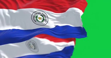 Yeşil arka planda yalıtılmış Paraguay 'ın ulusal bayrakları rüzgarda dalgalanıyor. Kusursuz 3D canlandırma animasyonu. Krom anahtar. Yavaş çekim döngüsü. Yeşil ekran. 4 bin. Seçici odak