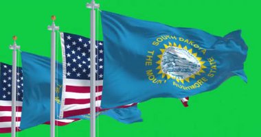 Güney Dakota ve Amerika Birleşik Devletleri bayrakları yeşil arka planda izole edilmiş. Kusursuz 3D canlandırma animasyonu. Krom anahtar. Yavaş çekim döngüsü. Yeşil ekran. 4 bin. Seçici odak