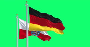 Delaware ve Amerika Birleşik Devletleri bayrakları yeşil arka planda yalıtılmış bir şekilde dalgalanıyor. Kusursuz 3D canlandırma animasyonu. Krom anahtar. Yavaş çekim döngüsü. Yeşil ekran. 4 bin. Seçici odak