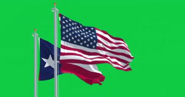 Delaware ve Amerika Birleşik Devletleri bayrakları yeşil arka planda yalıtılmış bir şekilde dalgalanıyor. Kusursuz 3D canlandırma animasyonu. Krom anahtar. Yavaş çekim döngüsü. Yeşil ekran. 4 bin. Seçici odak