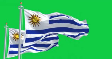 Delaware ve Amerika Birleşik Devletleri bayrakları yeşil arka planda yalıtılmış bir şekilde dalgalanıyor. Kusursuz 3D canlandırma animasyonu. Krom anahtar. Yavaş çekim döngüsü. Yeşil ekran. 4 bin. Seçici odak