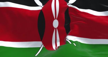 Kenya ulusal bayrağının dalgalandığı yakın çekim. Siyah, kırmızı ve yeşil bantların ortasında siyah Masai kalkanı var. Kusursuz 3 boyutlu animasyon. Yavaş çekim döngüsü. Seçici odak
