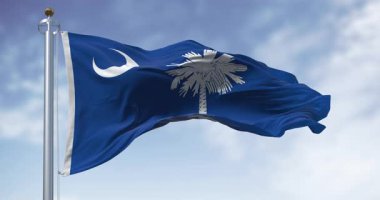 Güney Carolina bayrağı rüzgarda dalgalanıyor. Beyaz palmetto ağacı ve hilal olan mavi tarla. ABD eyaleti. Kusursuz 3 boyutlu animasyon. Yavaş çekim döngüsü. Seçici odak