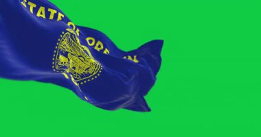 Oregon eyaleti bayrağı yeşil arka planda izole edilmiş. Kusursuz 3D canlandırma animasyonu. Krom anahtar. Yavaş çekim döngüsü. Yeşil ekran. 4 bin. Seçici odak