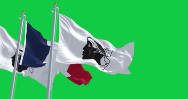 Korsika bayrakları yeşil arka planda izole edilmiş ulusal Fransız bayrağıyla dalgalanıyor. Kusursuz 3D canlandırma animasyonu. Krom anahtar. Yavaş çekim döngüsü. Yeşil ekran. 4 bin. Seçici odak