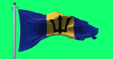 Yeşil arka planda izole edilmiş ulusal Barbados bayrağı sallanıyor. Kusursuz 3D canlandırma animasyonu. Krom anahtar. Yavaş çekim döngüsü. Yeşil ekran. 4 bin. Seçici odak