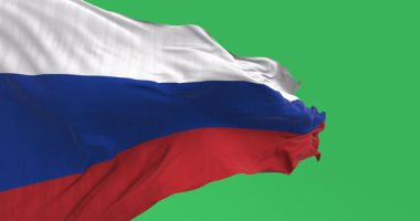 Yeşil arka planda izole edilmiş, rüzgarda dalgalanan Rus bayrağının yakın çekimi. Kusursuz 3D canlandırma animasyonu. Krom anahtar. Yavaş çekim döngüsü. Yeşil ekran. 4 bin. Seçici odak