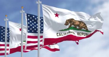 Kaliforniya eyalet bayrakları ve rüzgarda dalgalanan Amerikan bayrağı, bir kahverengi ayı ve California Cumhuriyeti kelimeleriyle birlikte. Kusursuz 3 boyutlu animasyon. Yavaş çekim döngüsü. Seçici odak