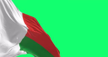 Madagaskar 'ın ulusal bayrağı rüzgarda dalgalanıyor yeşil arka planda izole edilmiş. Kusursuz 3D canlandırma animasyonu. Krom anahtar. Yavaş çekim döngüsü. Yeşil ekran. 4 bin. Seçici odak