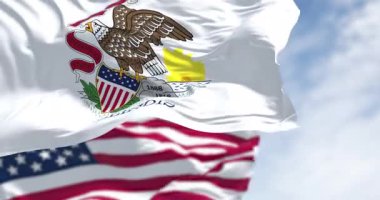 Illinois eyalet bayrağı, arka planda bulanık ABD bayrağıyla dalgalanan kel bir kartal ile eyalet mührünü temsil ediyor. Kusursuz 3 boyutlu animasyon. Yavaş çekim döngüsü. Seçici odak