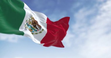 Meksika 'nın ulusal bayrağı, ikonik arma armasını içerir: kaktüsün üzerinde tünemiş bir yılanı yiyen altın kartal. Kusursuz 3 boyutlu animasyon. Yavaş çekim döngüsü. Seçici odak