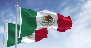 Meksika 'nın ulusal bayrakları rüzgarda dalgalanıyor. Meksika vatanseverliği, kültürü ve tarihi kavramı. Kusursuz 3 boyutlu animasyon. Yavaş çekim döngüsü. Seçici odak