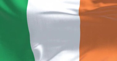 İrlanda bayrağının dalgalanmasına yakın çekim. Aziz Patrick Günü kutlamaları için dokulu kumaş arka plan. Ulusal gurur, kültür, barış ve İrlanda mirası. Kusursuz 3 boyutlu animasyon. Yavaş çekim döngüsü