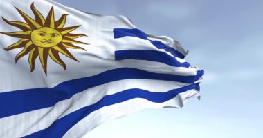 Mayıs güneşli Uruguay bayrağı gökyüzünde dalgalanıyor. Kusursuz 3 boyutlu animasyon. Yavaş çekim döngüsü. Seçici odak