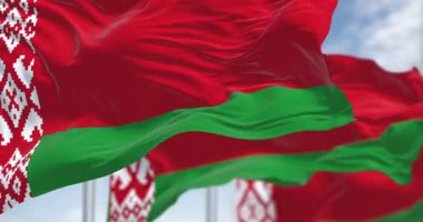 Beyaz Rusya 'nın ulusal bayrakları rüzgarda sallanıyor. Asa ucuna beyaz ve kırmızı süsleme desenli kırmızı ve yeşil bayrak asıldı. Kusursuz 3 boyutlu animasyon. Yavaş çekim döngüsü. Seçici odak