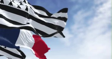 Açık bir günde Britanya bayrağı Fransız bayrağıyla dalgalanıyor. Fransa 'nın batısındaki kültürel bölge. Kusursuz 3 boyutlu animasyon. Yavaş çekim döngüsü. Seçici odak