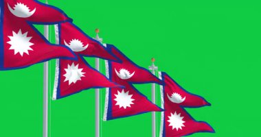 Yeşil arka planda izole edilmiş Amerikan bayrağı dalgalanan Delaware eyalet bayraklarının yakın çekimi. Kusursuz 3D canlandırma animasyonu. Krom anahtar. Yavaş çekim döngüsü. Yeşil ekran. 4 bin. Seçici odak