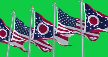 Yeşil arka planda izole edilmiş Amerikan bayrağı dalgalanan Delaware eyalet bayraklarının yakın çekimi. Kusursuz 3D canlandırma animasyonu. Krom anahtar. Yavaş çekim döngüsü. Yeşil ekran. 4 bin. Seçici odak