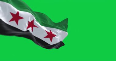 Yeşil arka planda izole edilmiş Amerikan bayrağı dalgalanan Delaware eyalet bayraklarının yakın çekimi. Kusursuz 3D canlandırma animasyonu. Krom anahtar. Yavaş çekim döngüsü. Yeşil ekran. 4 bin. Seçici odak