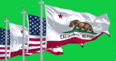 Kaliforniya eyalet bayrakları ve rüzgarda dalgalanan Amerikan bayrağı yeşil arka planda izole edilmiş. Kusursuz 3D canlandırma animasyonu. Krom anahtar. Yavaş çekim döngüsü. Yeşil ekran. 4 bin. Seçici odak